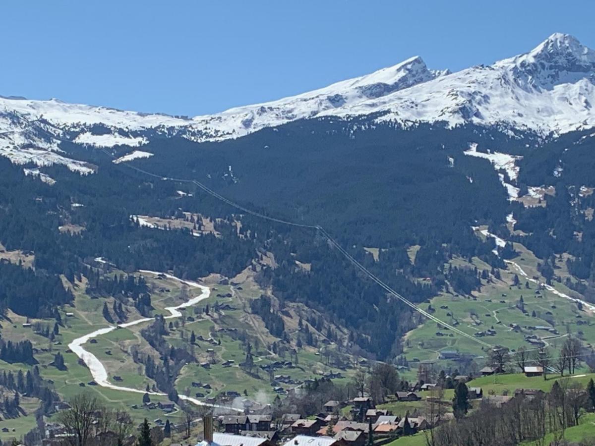 Apartment Grindelwald-sunneblick Grindelwald